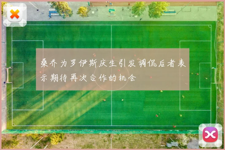 桑乔为罗伊斯庆生引发调侃后者表示期待再次合作的机会
