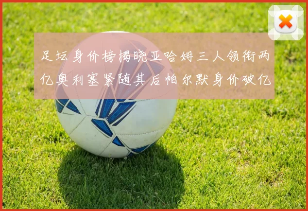 足坛身价榜揭晓亚哈姆三人领衔两亿奥利塞紧随其后帕尔默身价破亿
